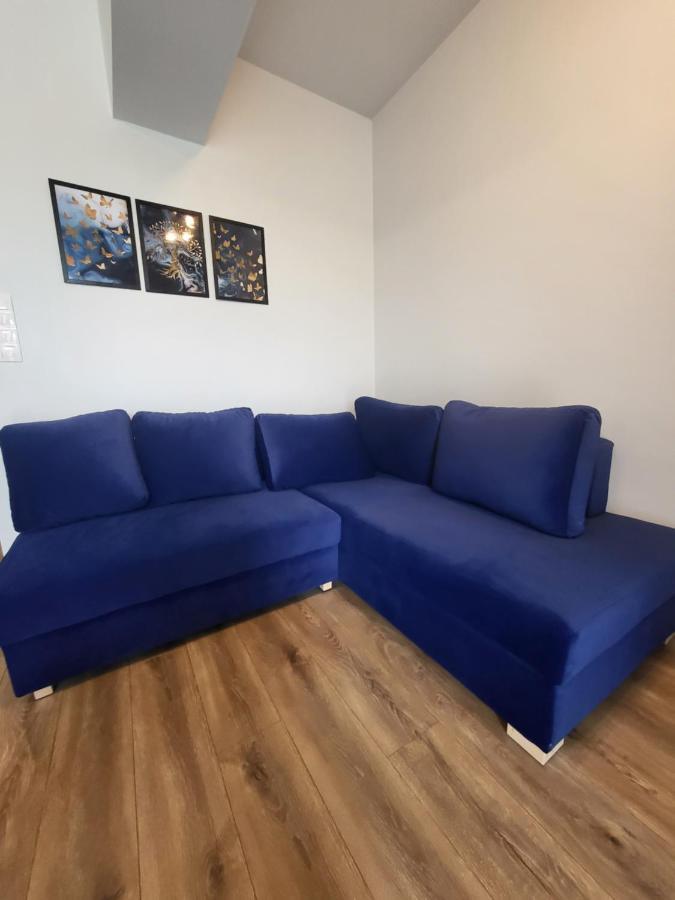 Nest Niebieski Затор Экстерьер фото